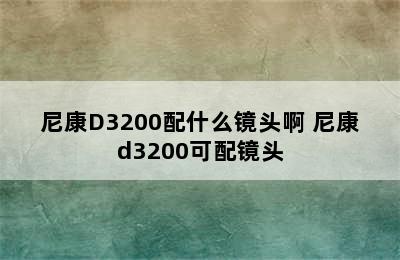 尼康D3200配什么镜头啊 尼康d3200可配镜头